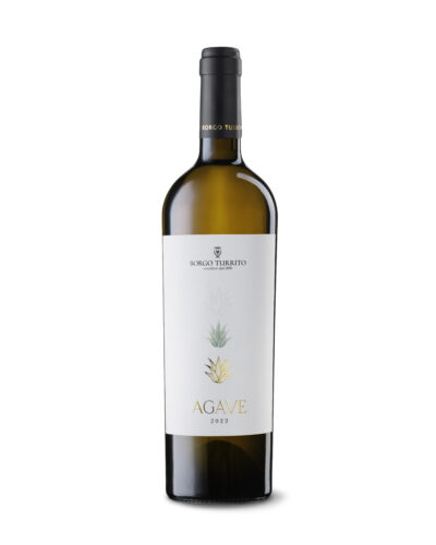 Agave
